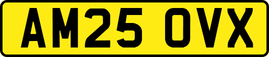AM25OVX