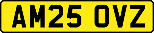 AM25OVZ