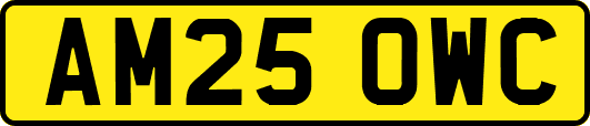 AM25OWC