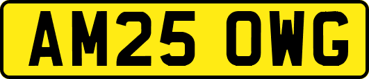 AM25OWG