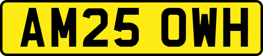 AM25OWH