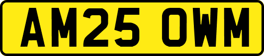 AM25OWM
