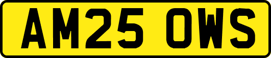 AM25OWS