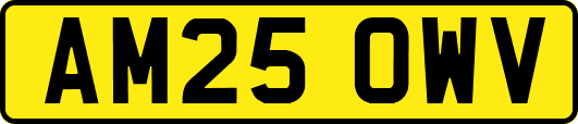 AM25OWV