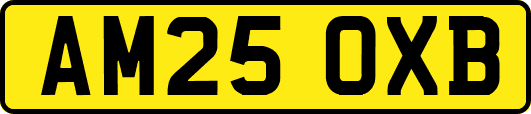 AM25OXB