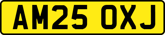 AM25OXJ