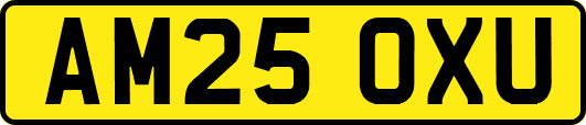 AM25OXU
