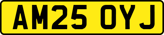 AM25OYJ