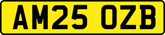 AM25OZB