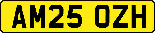 AM25OZH