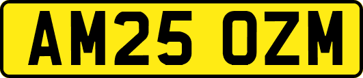 AM25OZM