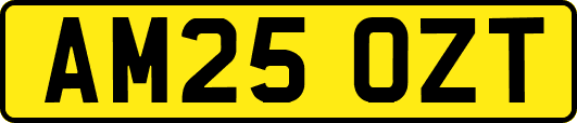 AM25OZT