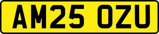 AM25OZU