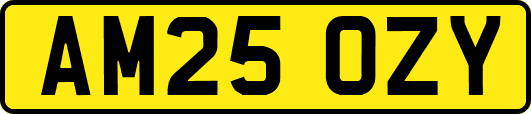 AM25OZY