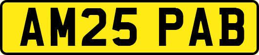 AM25PAB