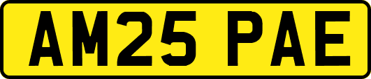 AM25PAE