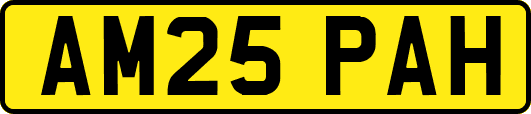 AM25PAH