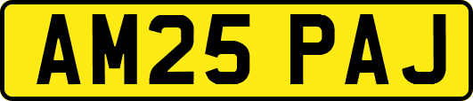 AM25PAJ