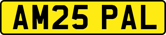 AM25PAL