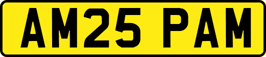 AM25PAM