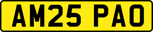 AM25PAO