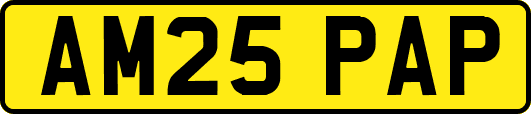 AM25PAP