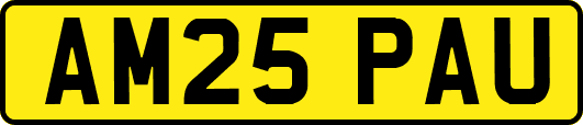AM25PAU