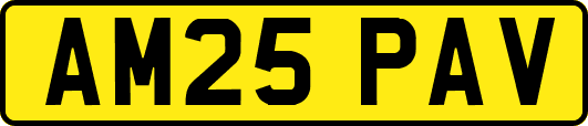 AM25PAV