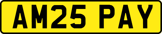 AM25PAY