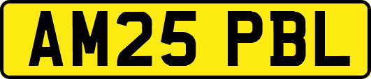 AM25PBL