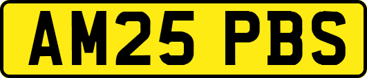 AM25PBS