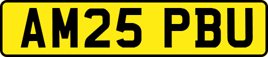 AM25PBU