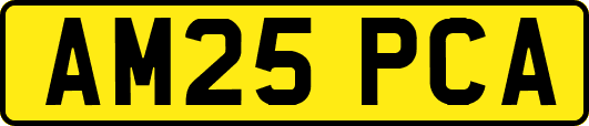 AM25PCA