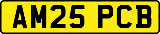 AM25PCB
