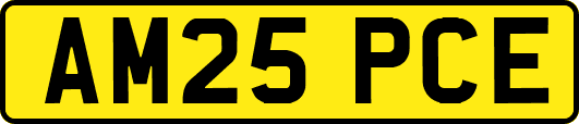 AM25PCE