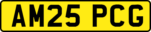 AM25PCG