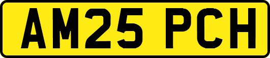 AM25PCH