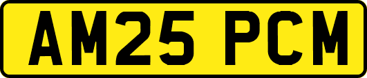 AM25PCM