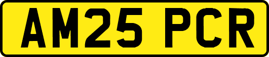 AM25PCR