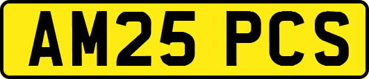 AM25PCS