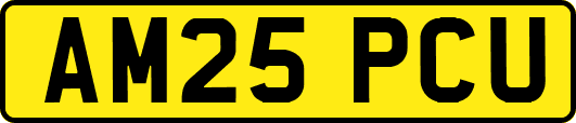 AM25PCU