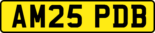 AM25PDB