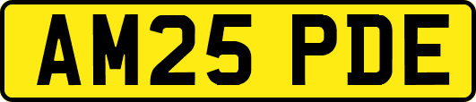 AM25PDE