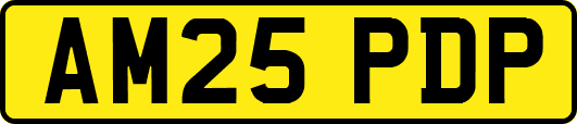 AM25PDP