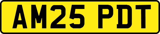 AM25PDT