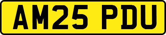AM25PDU