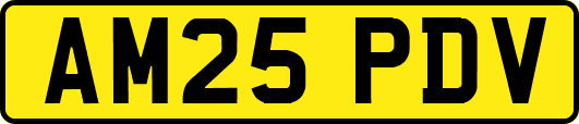AM25PDV