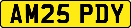 AM25PDY