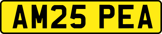 AM25PEA