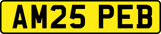 AM25PEB